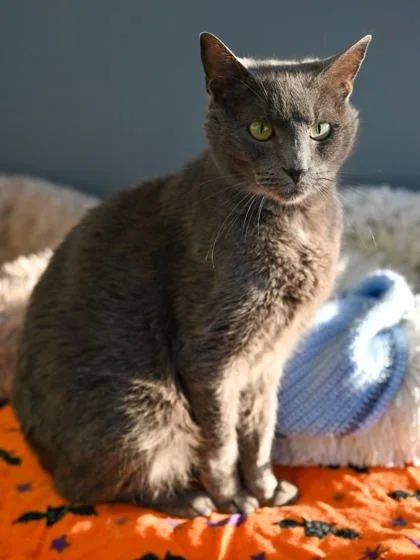 Casper + thumbnail 2