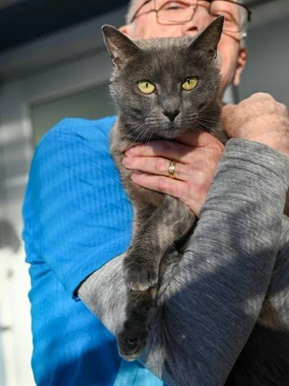 Casper + thumbnail 3