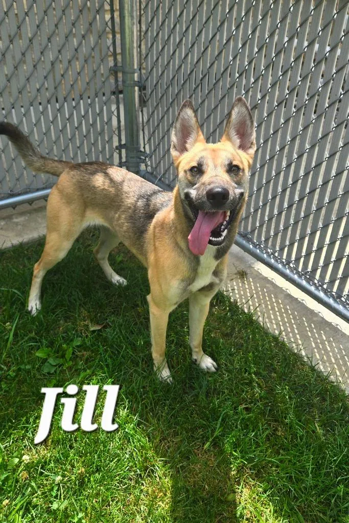 Jill Yrly thumbnail 5