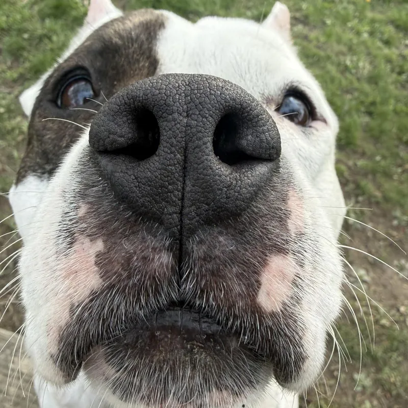 Matilda thumbnail 6
