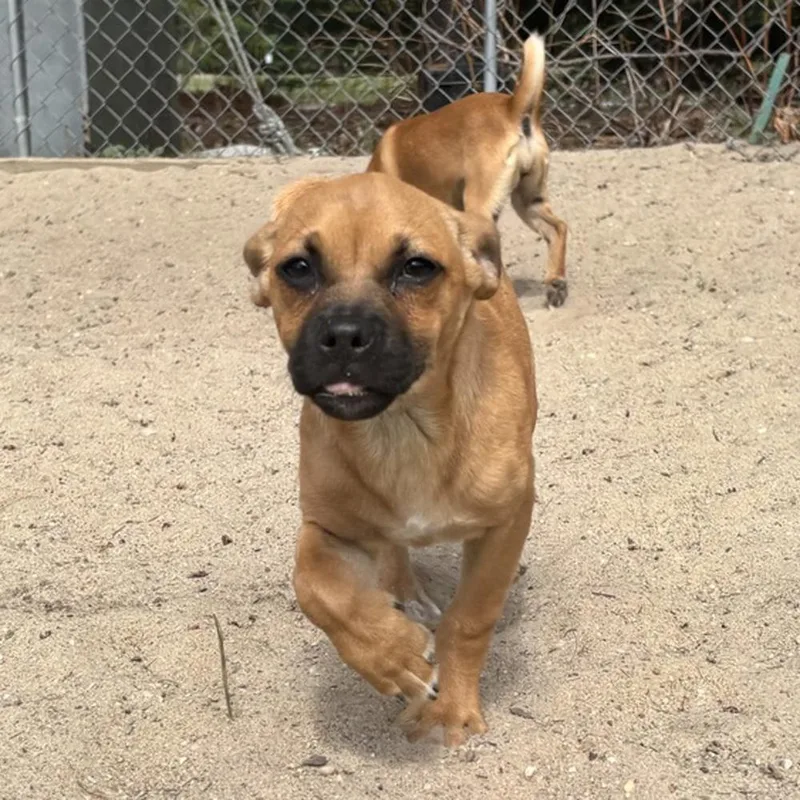 Collette thumbnail 2