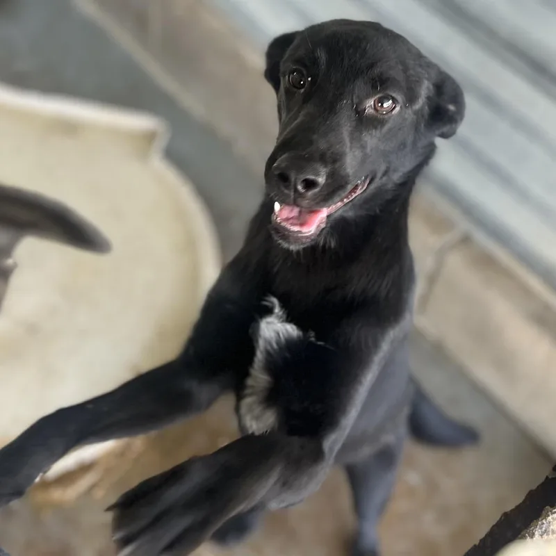 Loch Ness thumbnail 4