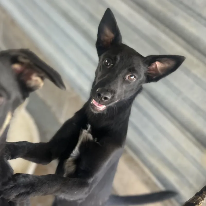 Loch Ness thumbnail 5