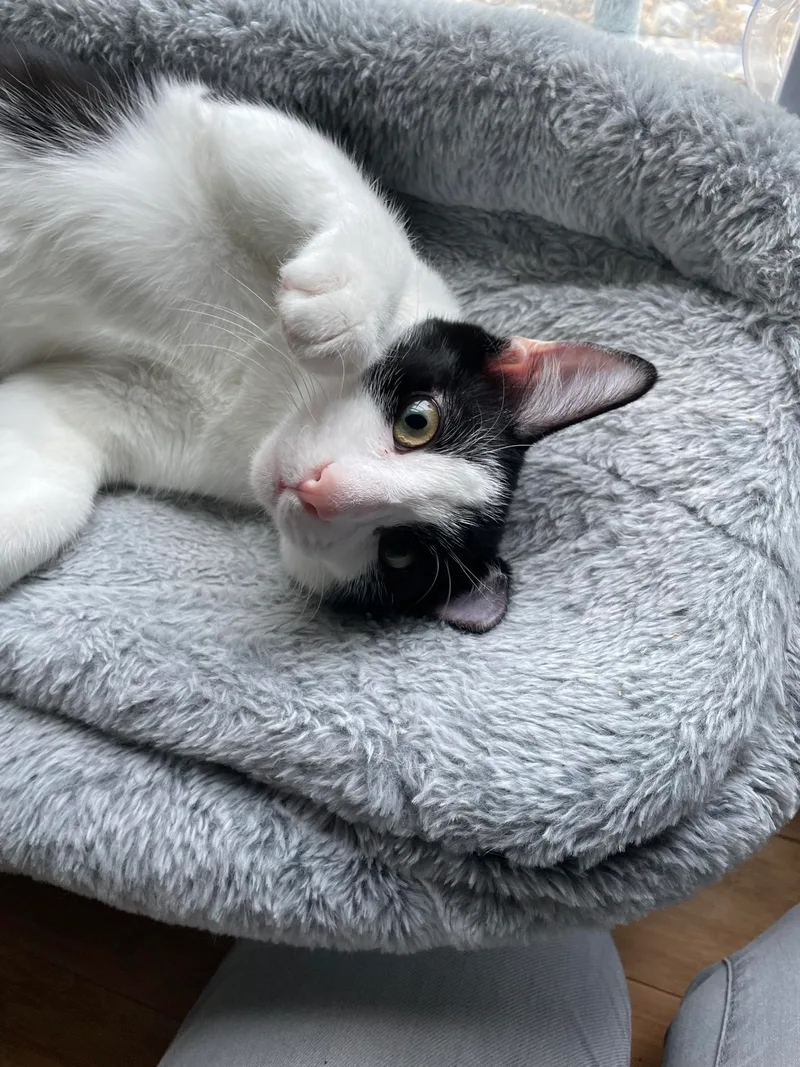 Rue =^.^= thumbnail 3