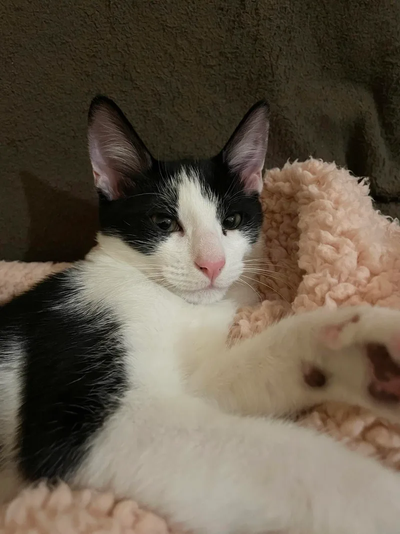 Rue =^.^= thumbnail 4