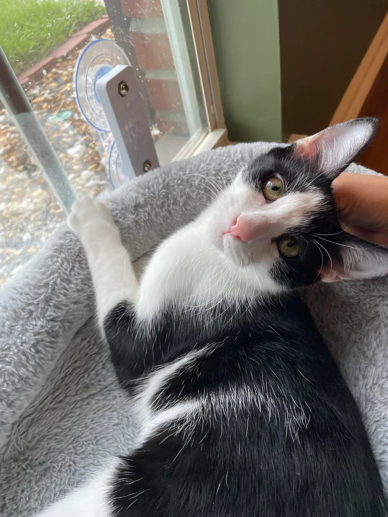 Rue =^.^= thumbnail 5