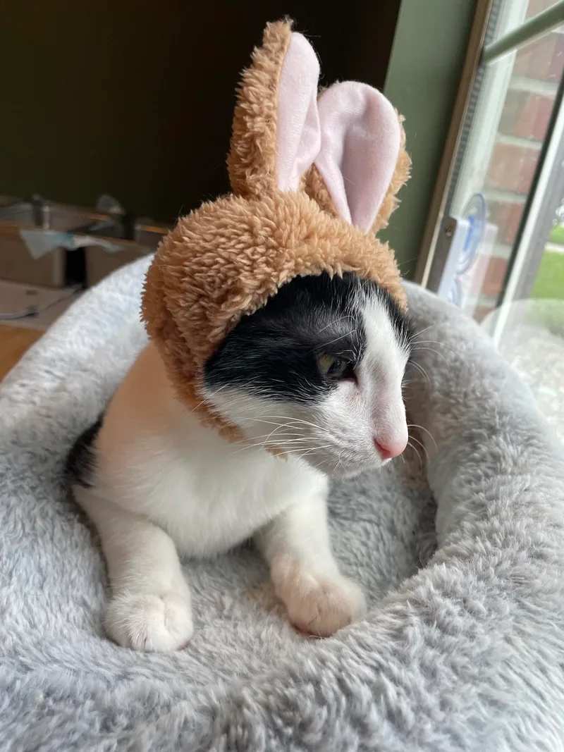 Rue =^.^= thumbnail 6