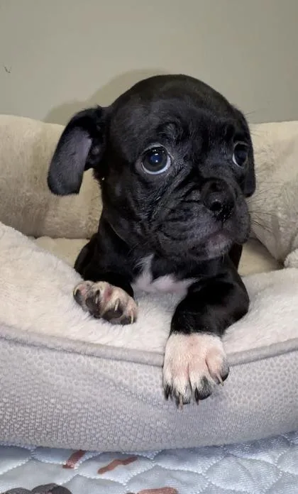 Gwinnie thumbnail 2