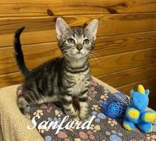 Sanford