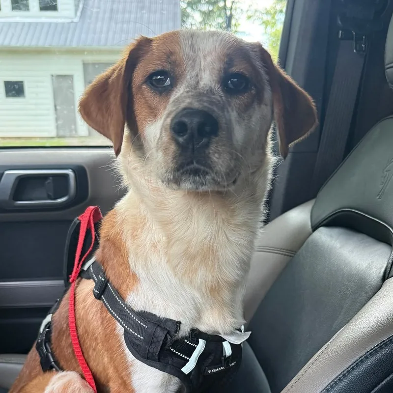 Frida