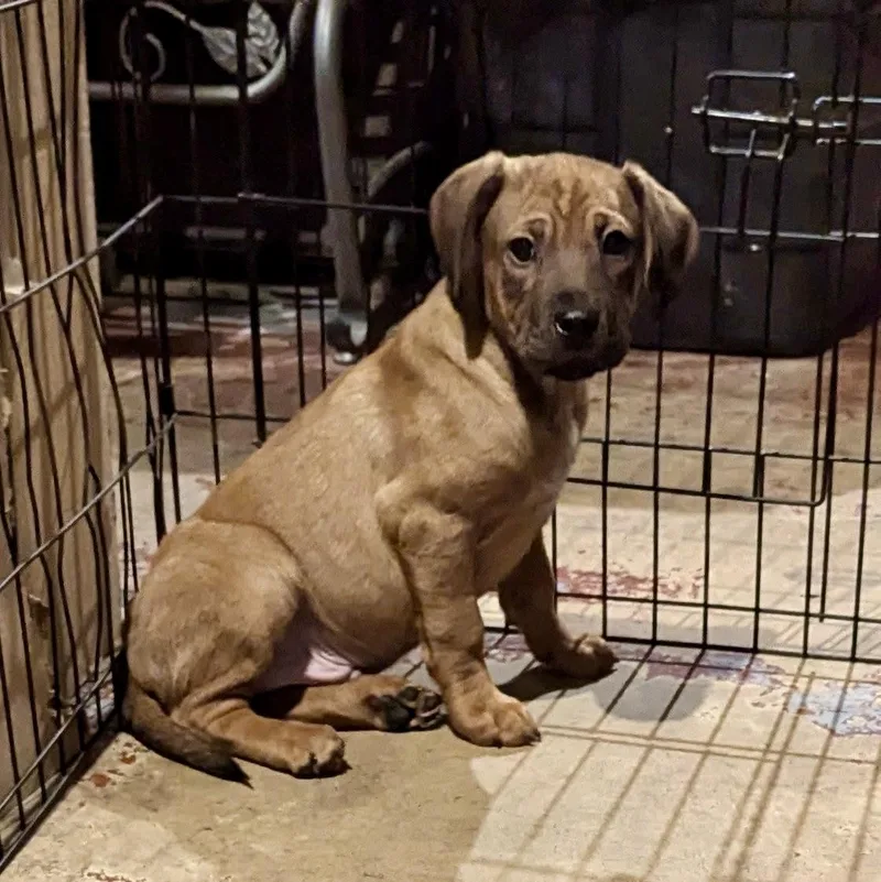 Montgomery thumbnail 3