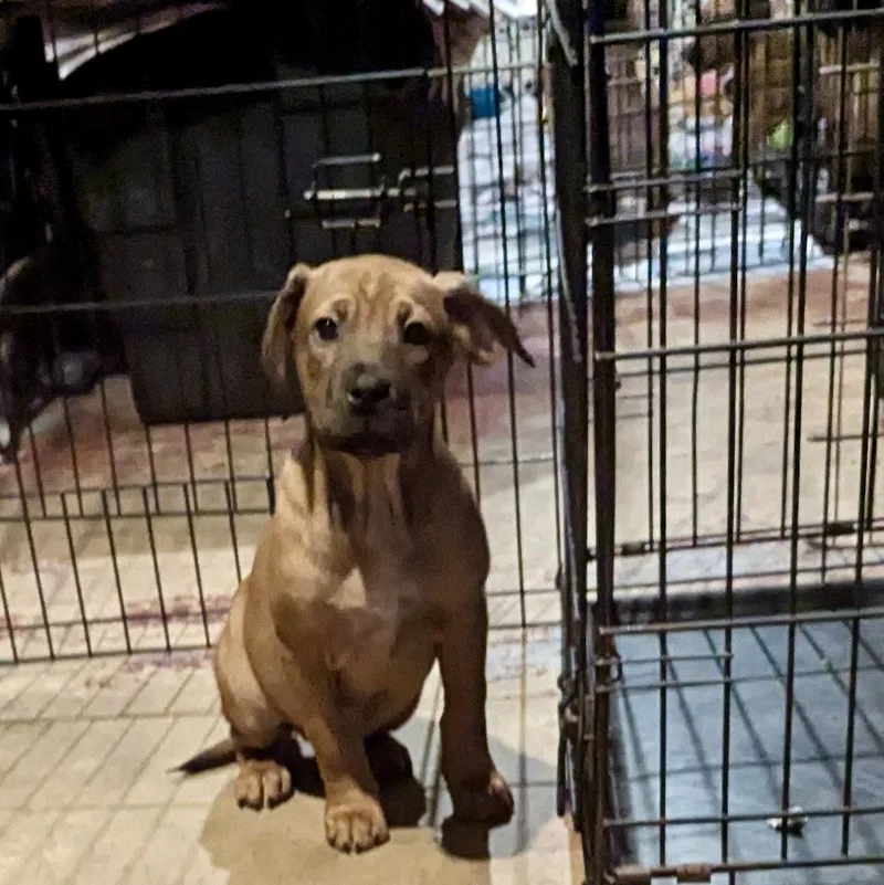 Montgomery thumbnail 4