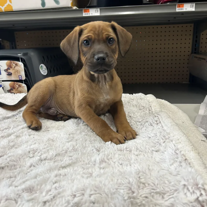 Montgomery thumbnail 5