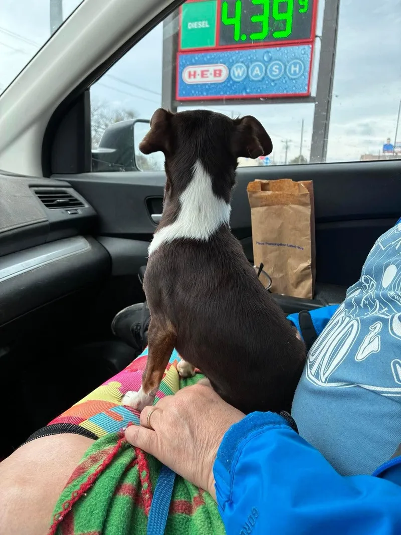 Jefferson thumbnail 2