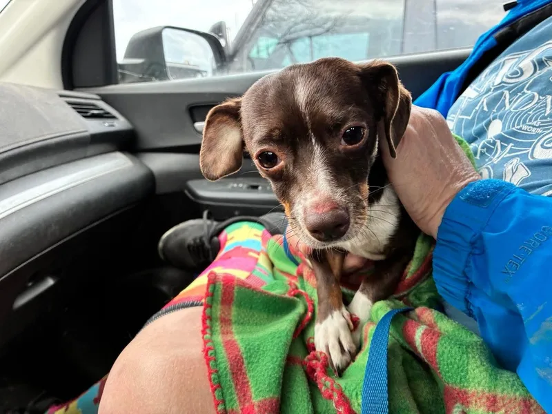 Jefferson thumbnail 3