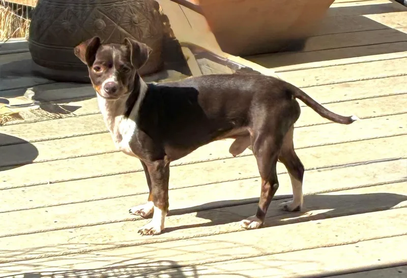 Jefferson thumbnail 4