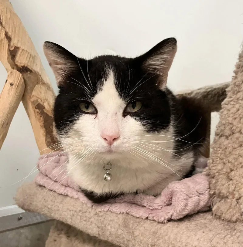 Montieth thumbnail 3