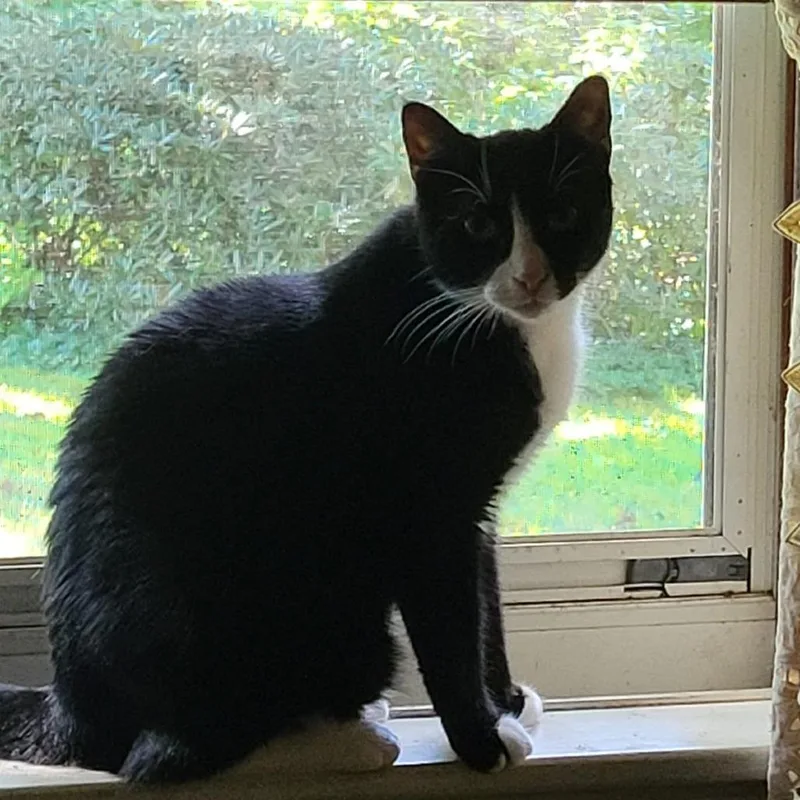 Dolly Bonded To Loretta thumbnail 5