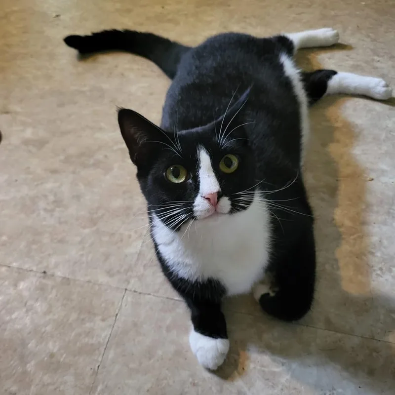 Dolly Bonded To Loretta thumbnail 6