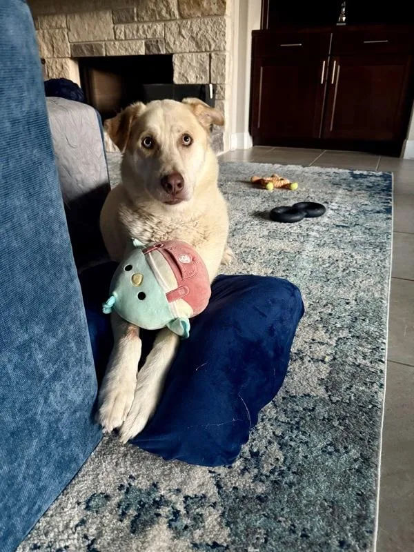 Butters