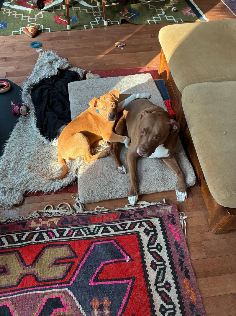 Neutron Star thumbnail 5