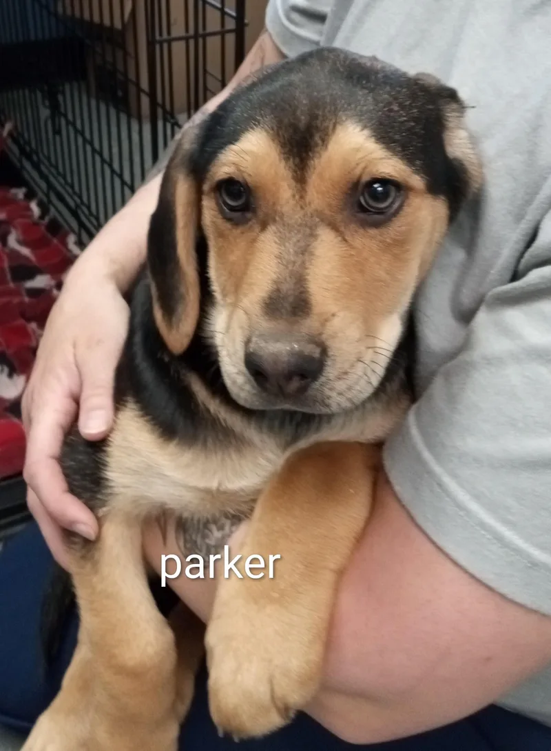 Parker