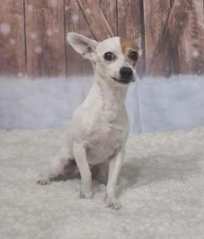 Randy Dd~ thumbnail 2