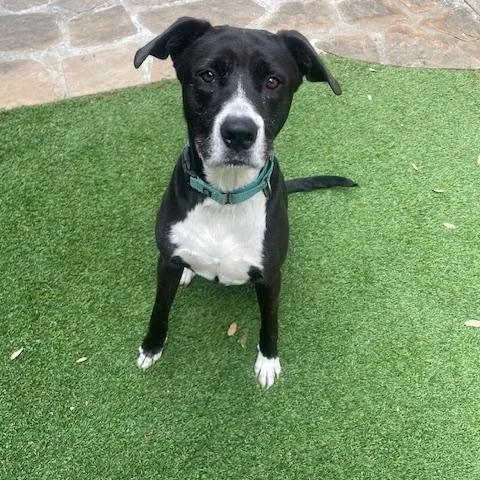 Molly  Smart  thumbnail 4