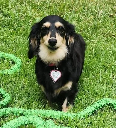 Skylar in TN thumbnail 5