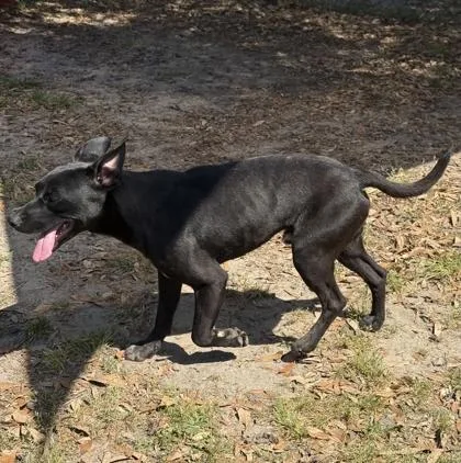 Lightning thumbnail 2