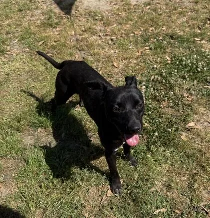 Lightning thumbnail 3