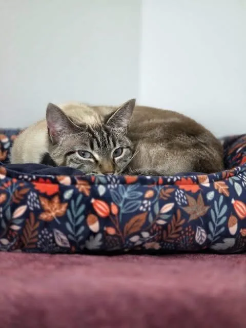 Libby thumbnail 2