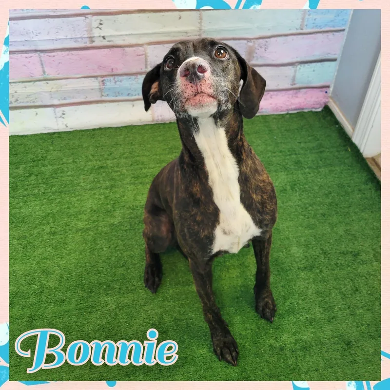 Bonnie