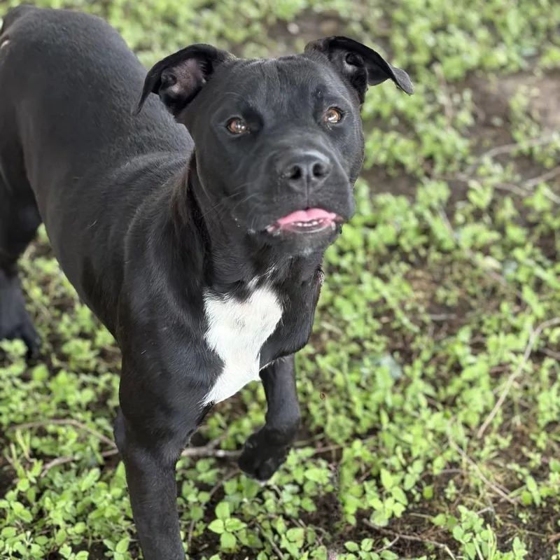 Sam