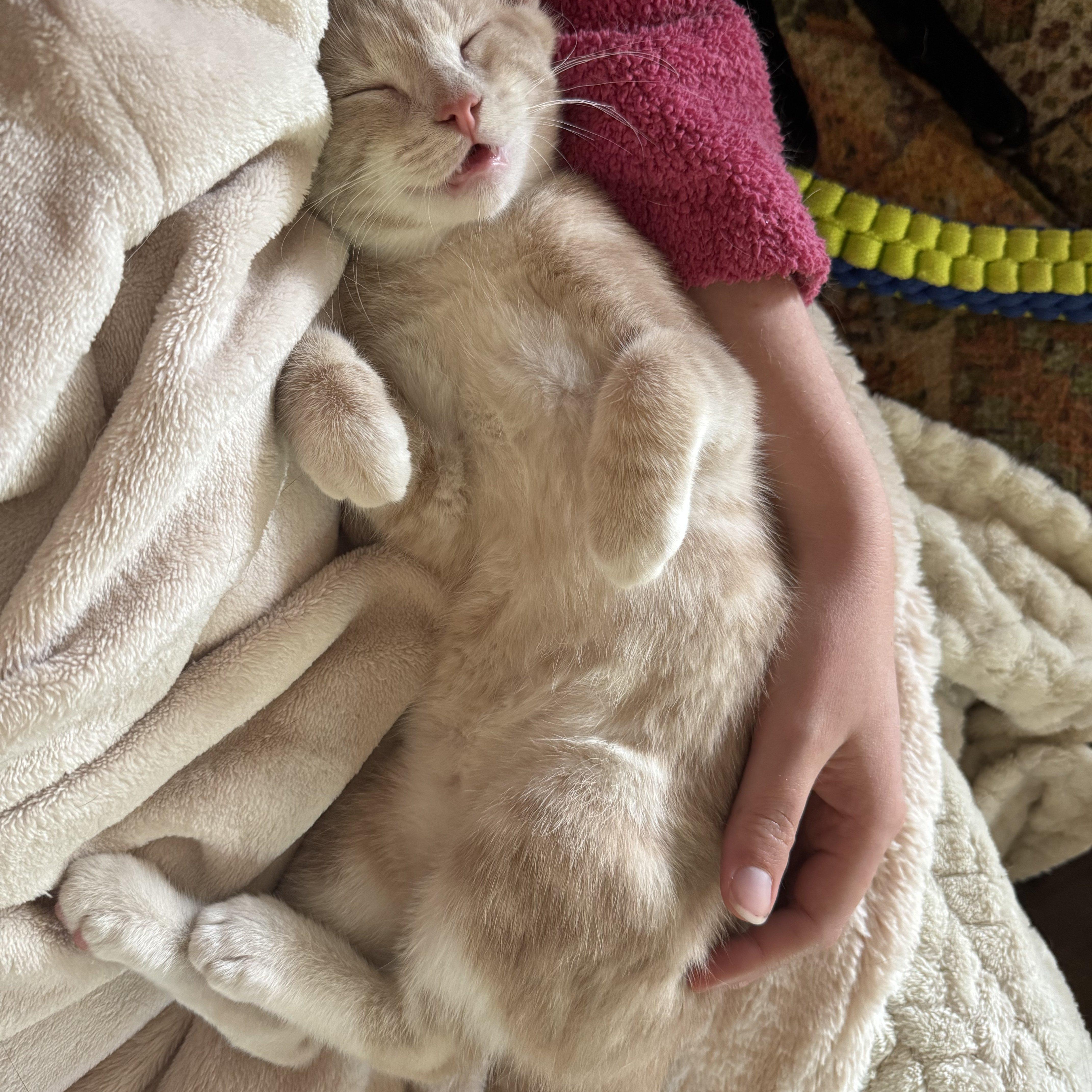 Ridley Reeds thumbnail 2