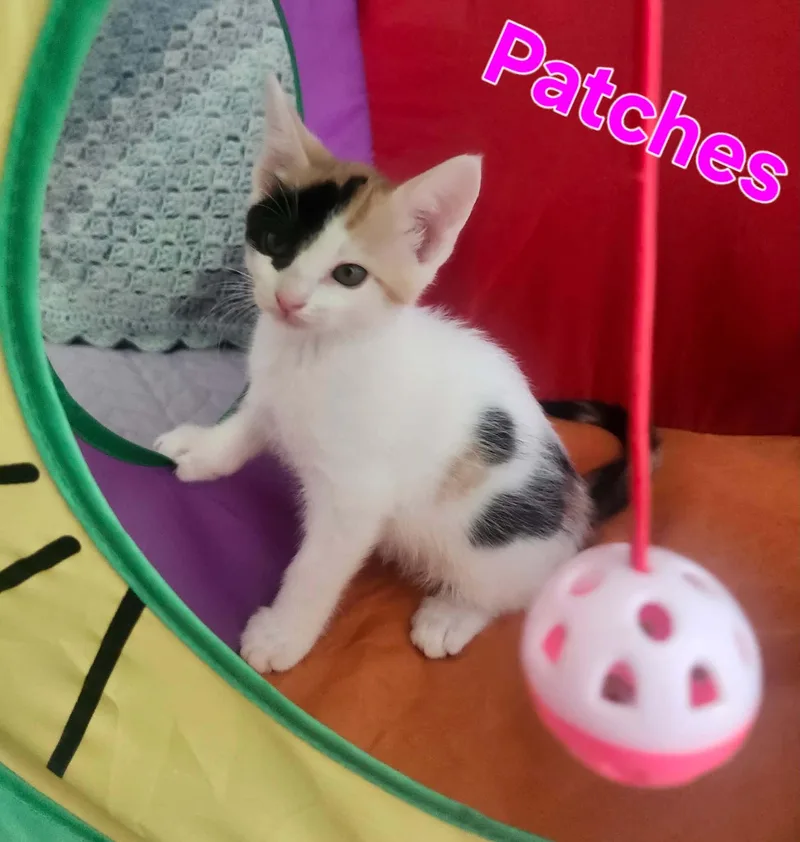 Patches