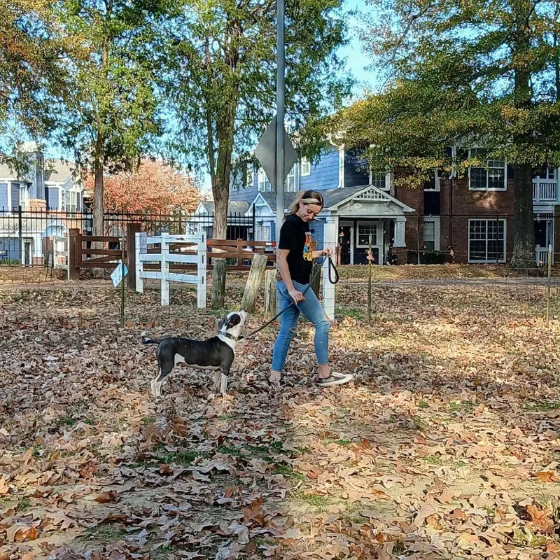 Maverick thumbnail 2