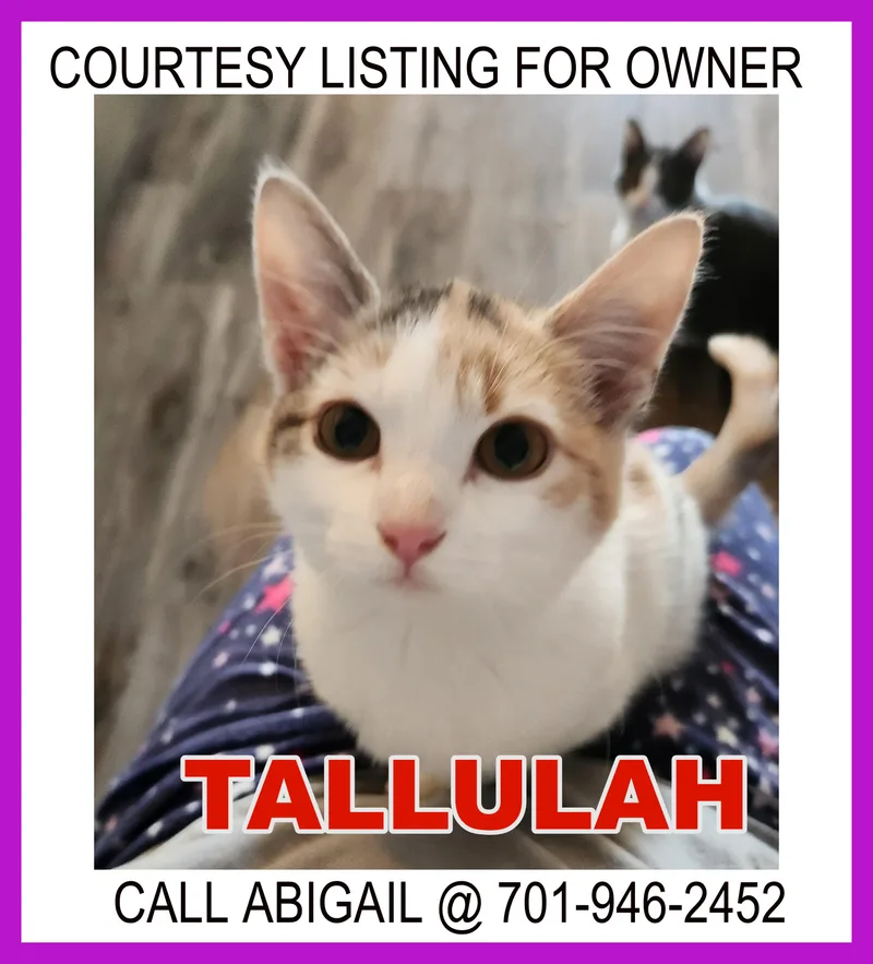Tallulah  Courtesy Listing