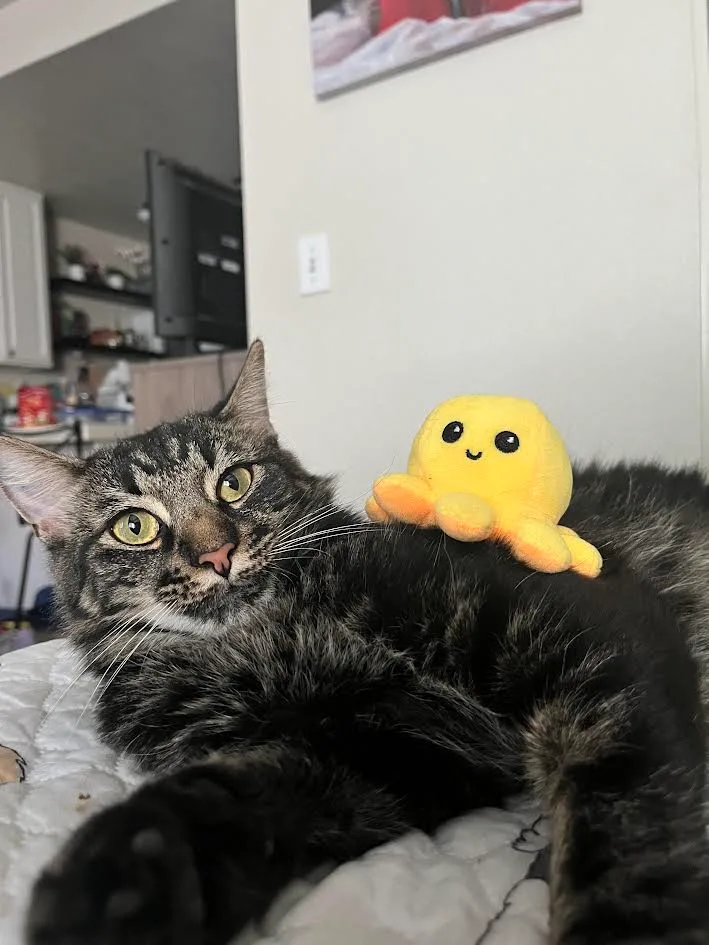 Amber