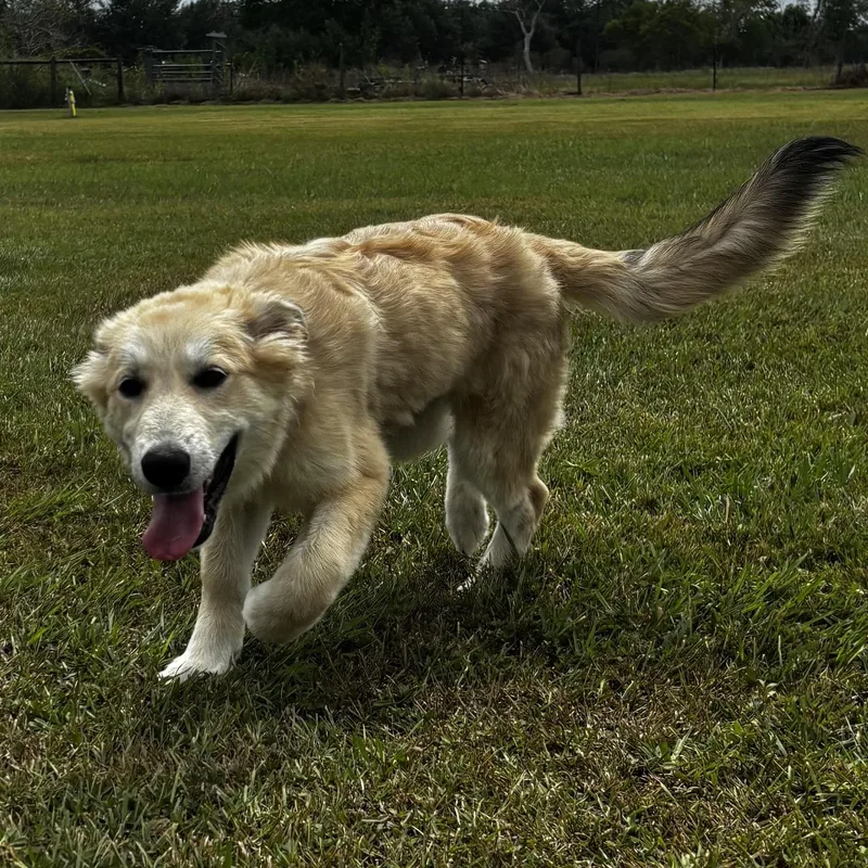 Winnie