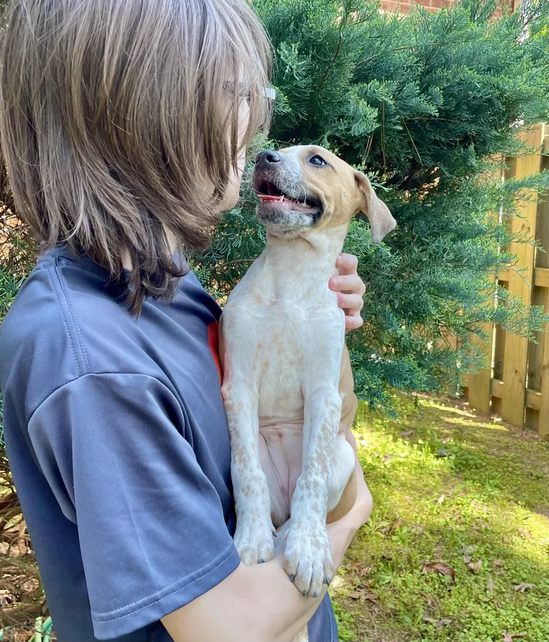 Speckles thumbnail 3