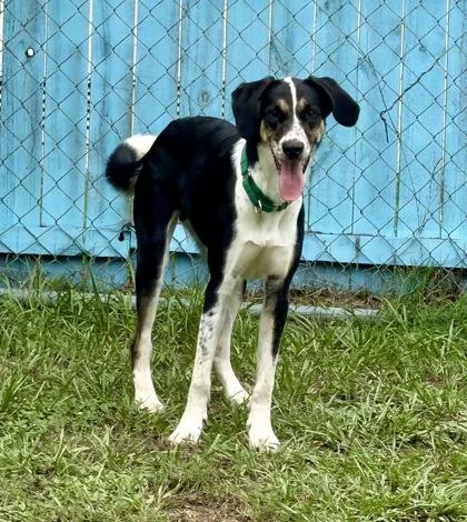 Loki thumbnail 2