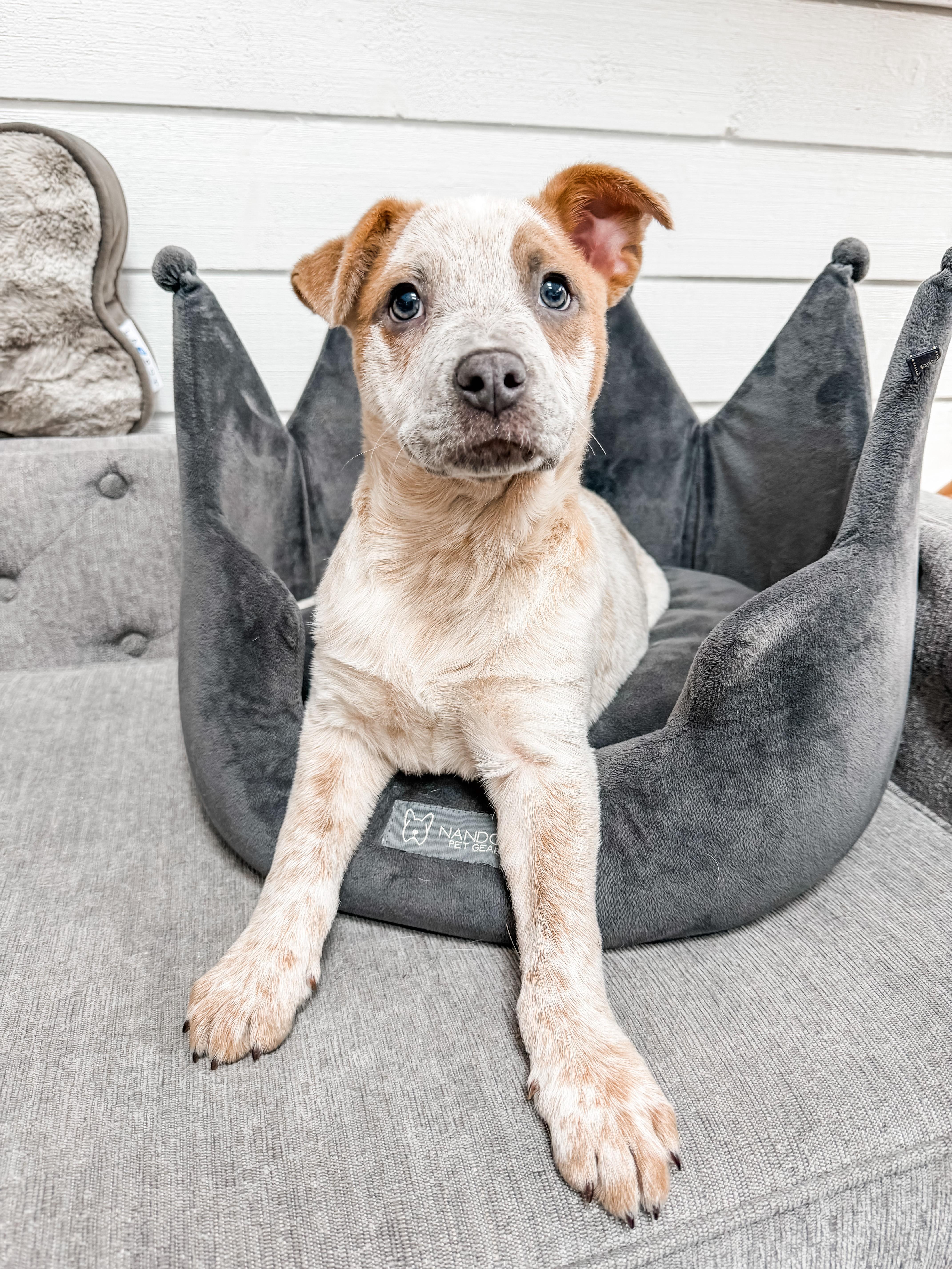 Koopa Kart  Local thumbnail 4