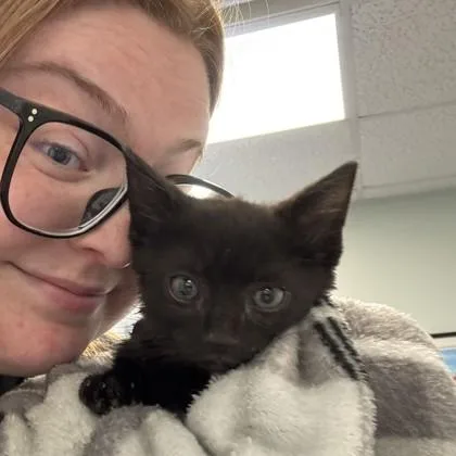 Black Bean thumbnail 2