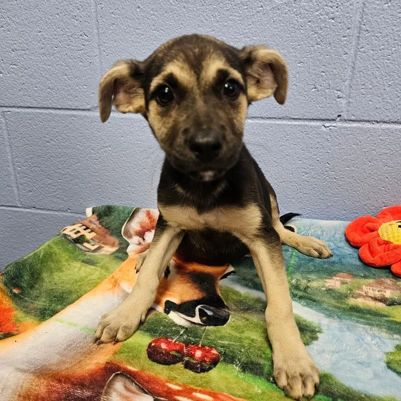 Matilda