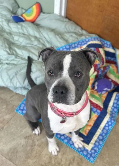 Caleb Williams thumbnail 2