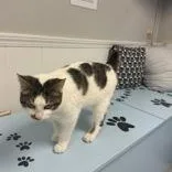 Pretty Boy thumbnail 2