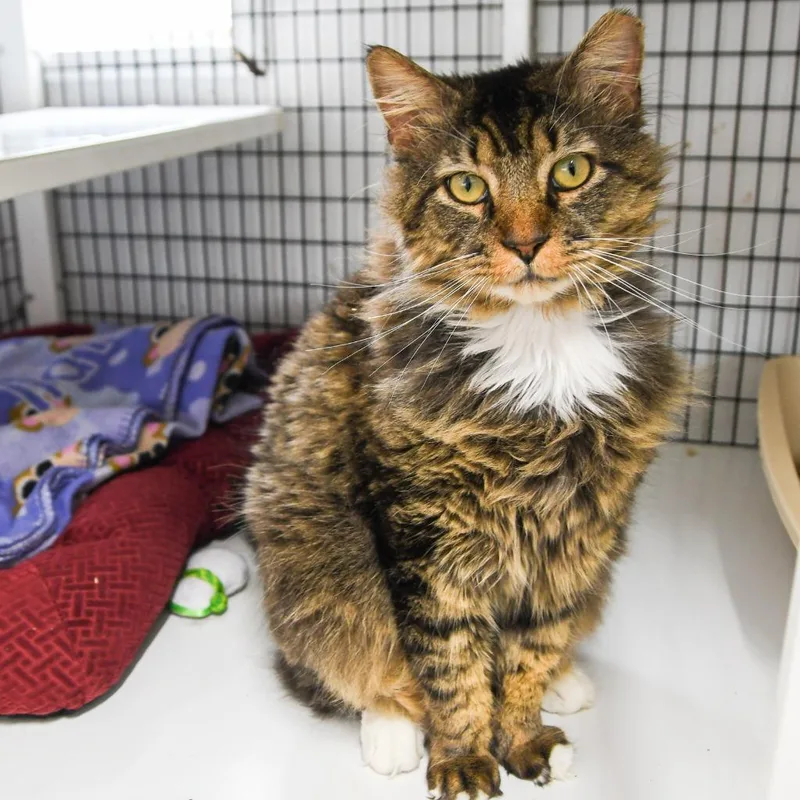 Paddington thumbnail 2