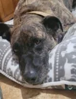 Sophie thumbnail 3