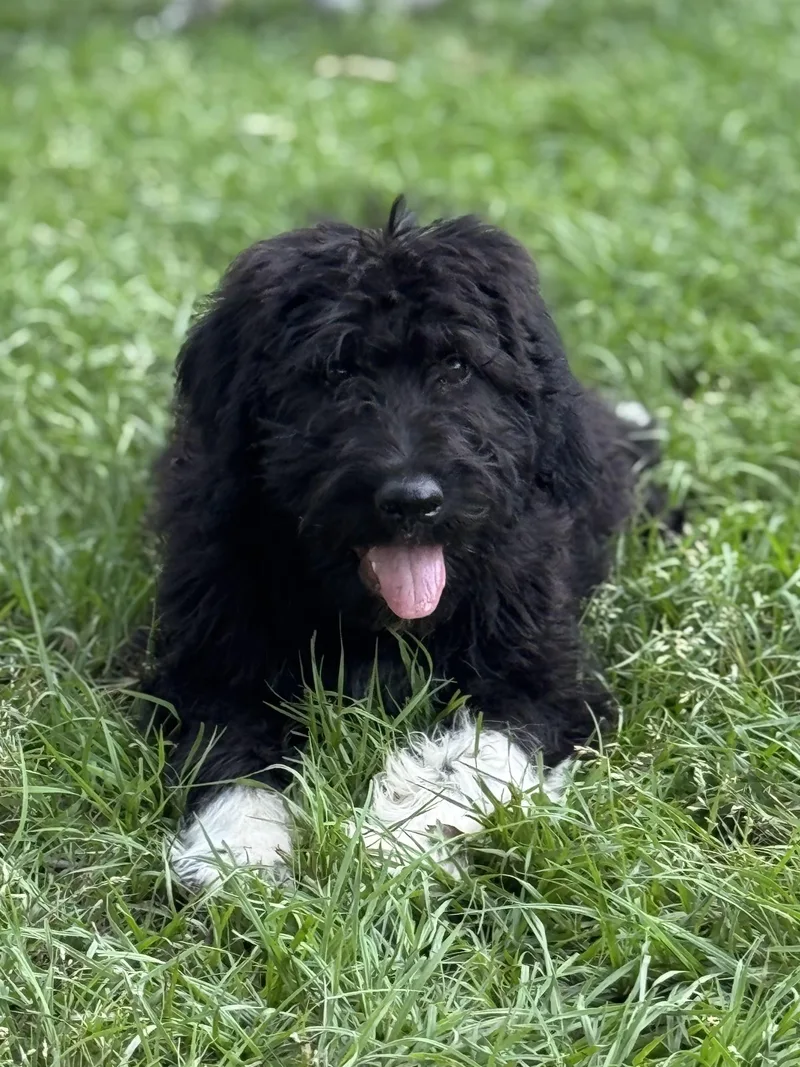 Socrates thumbnail 2